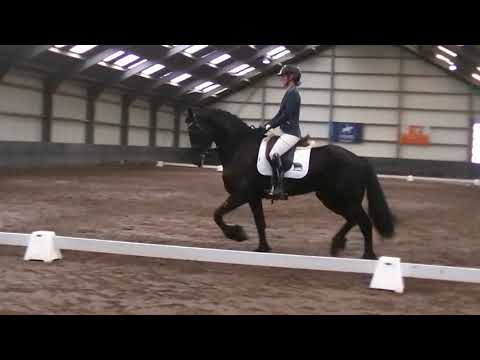 Stal Okkema´s Tom competing for the first time L1 dressage