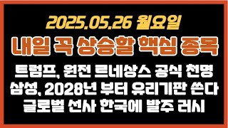 25.05.25(일) 내일 핵심 테마,종목/트럼프, 원전 르네상스 공식 천명/삼성, 2028년 부터 유리기판 쓴다/글로벌 선사 한국에 발주 러시/#우리기술 #피아이이 #한화오션