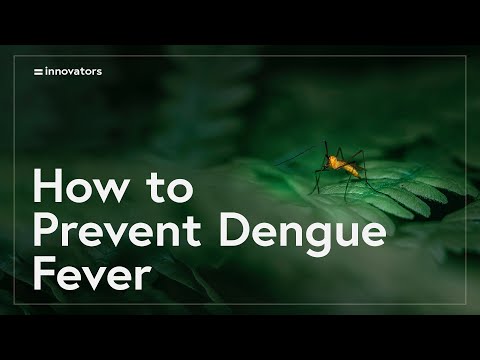 Dengue fever treatment: Predicting a Dengue fever outbreak 6 months in advance