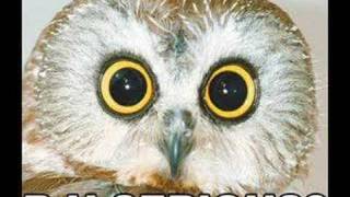 Bad Religion - Incomplete