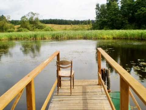 WOLNA GRUPA BUKOWINA  -  Majster Bieda