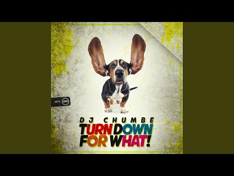 Turn Down For What! (Original Mix)