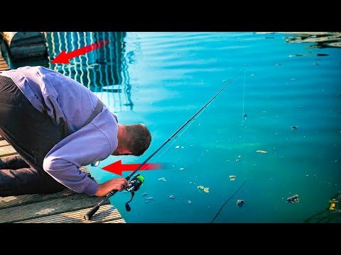 Which monster is hiding under that dock? (English subtitles)