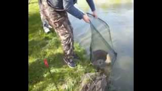 preview picture of video 'Concurs de pescuit, Crap - Caras viteza, Balta 1 Otvesti, Timis 2014'