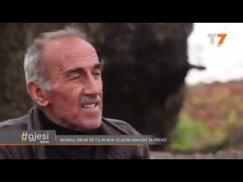 93. Kush e ka kete bindje, i bonë Allahut shirk (idhujtari)! Bindjet e shijave/sufive/dervishave!