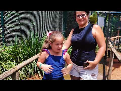 Drone Ody Park, Visitando o Zoo Casa das Araras, em Iguaraçu/PR