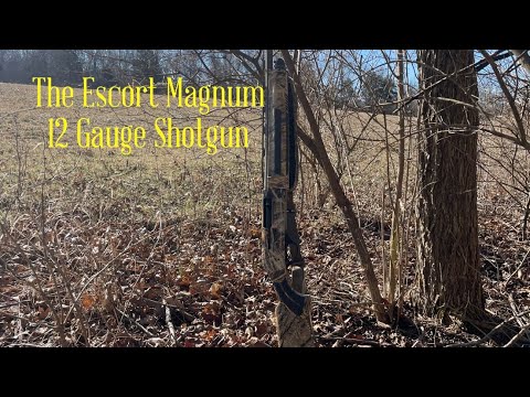 The Hatsan Escort Magnum 12 gauge shotgun. How does it perform?