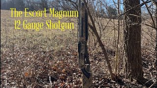 Video: Hatsan Escort Camo Auto 12/76 61+71cm Mossy Oak Duck Blind