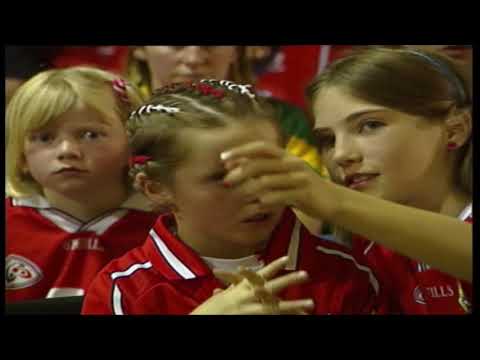 Newtownshandrum 2004 All-Ireland Senior Hurling Final