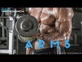 How To Grow Your Arms Gym Session (2)