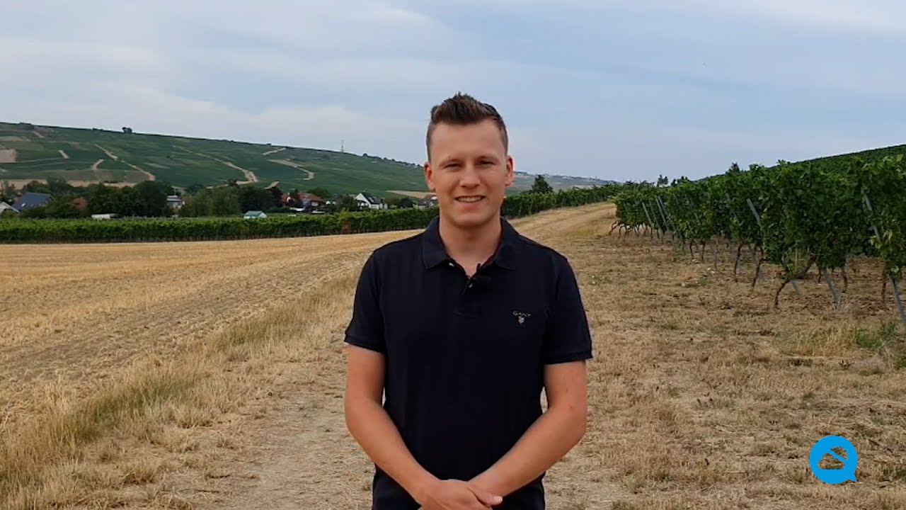 youtube video id=EfZKQgG5usc