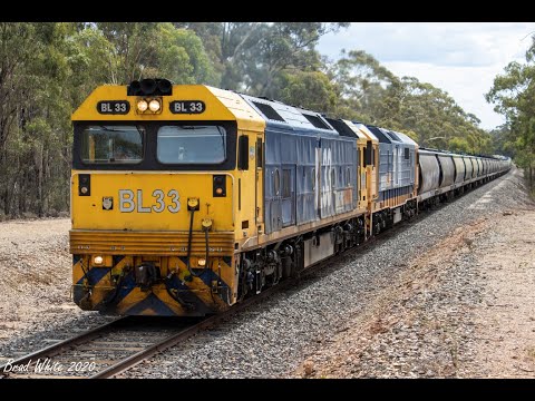 BL33 and 8101 tackle Bealiba Bank on 7936V Birchip grain- 24/2/20