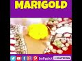 Marigold Dry Wet Loose Petals And Full Blossoms Navel Fetish Belly Button Kanchan Hot Navel