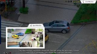 Spot monitor(English)_AVTECH_EagleEyes