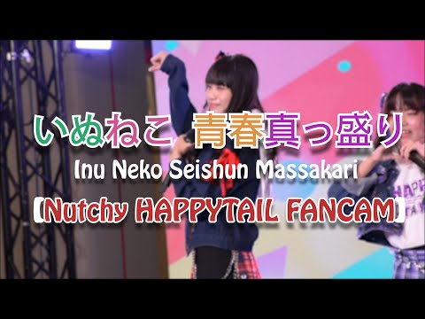 [FANCAM] Nutchy_HAPPYTAIL - Inu neko Seishun Massakari (いぬねこ。青春真っ盛り) @Idol expo 3 01/02/2020