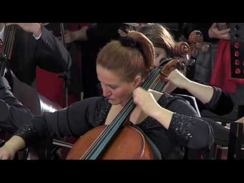 Gerti Druga - Nëna e dhimbjes (dedicated to Mother Teresa)