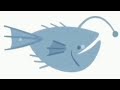 Songs For Birdland Angel Fish 2021 2