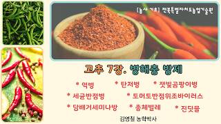 [고품질 고추 재배 기술 7강]  *고추 병해충 방제 (탄저병,토마토반점위조바이러스,담배거세미나방,진딧물) …