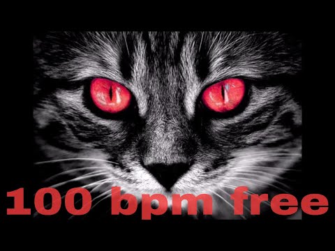 video frame placeholder