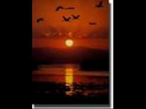 EROL YURDAYAN - Seni Arar Gözlerim