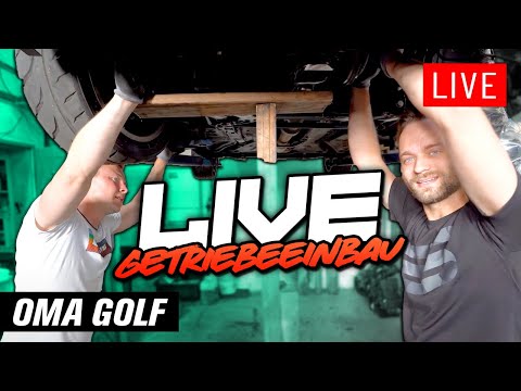 LIVE Getriebeeinbau am Oma Golf und Vorbereitung für das RACE 1000 am Wochenende! | Philipp Kaess |