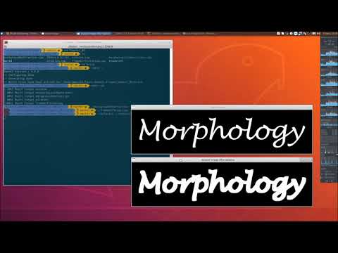 8 Video Surveillance Background Modeling and Morphological Operations