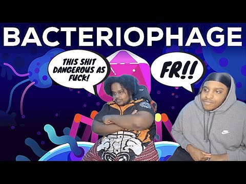 The Deadliest Being on Planet Earth – The Bacteriophage - Reaction
