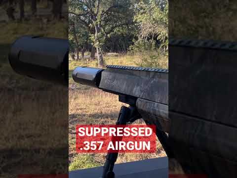AIRGUN REVIEW - Benjamin Bulldog .457 Multi-Shot Big Bore Bullpup! 400+ FPE, 298gr HP, 50 Yard Tests
