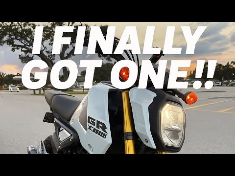 I Finally Bought a Honda Grom… And I Get It Now!!