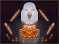 Request Pingu As A Chef Pingu Official Channel CoNfUsIoN