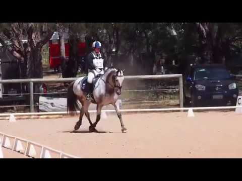 Walliston R&PC Hickstead 2018 ~ 80cm