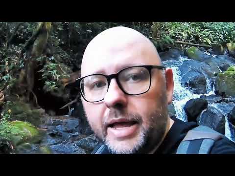 Fotografia de Cachoeira em São Francisco Xavier | Uma trilha, 4 cachoeiras e muita Mata Atlântica