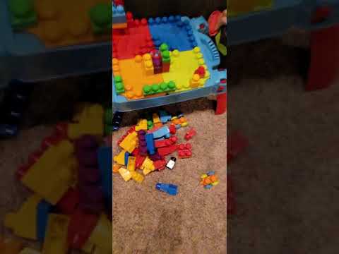 AKC Virtual Scent Work Test (VSWT) Beginner - Patrón the Beauceron