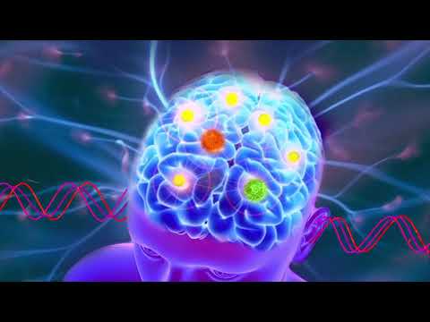 FREQUENCY OF HAPPINESS Music to Release Endorphins ☯ Dopamine Serotonin with Alpha Waves