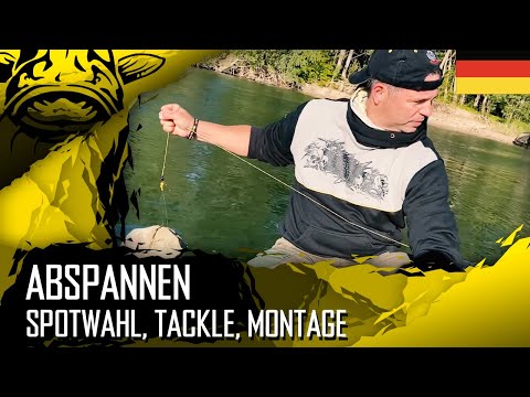 RICHTIG ABSPANNEN am RHEIN: WALLERMONTAGE mit INGO KUPRIAN