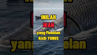 Download lagu Bukan Paus! Inilah Ikan yang Menelan Nabi Yunus a.s mp3