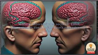 El secreto de las dos hipótesis intrigantes que atraen atención científica sobre los trastornos...