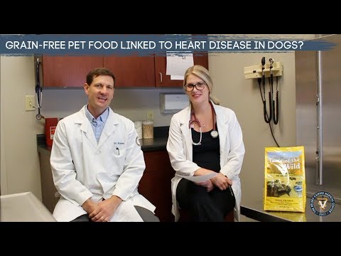 Grain Free Dog Food Linked To Heart Disease?