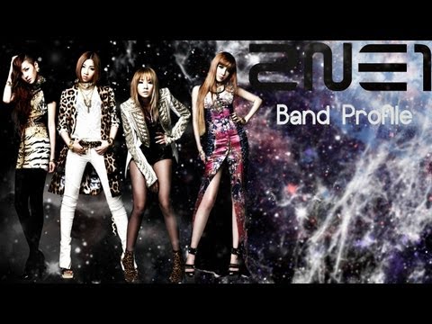 2NE1 Band Profile ♡