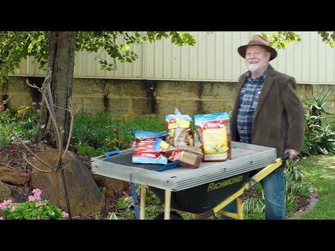 The Garden Gurus - The Right Plant Food