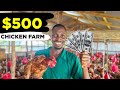 How To Start A Poultry Farm With 500 In 2026 Step By Step