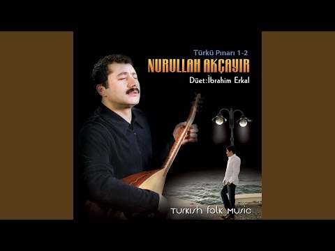 Hani Yaylam (feat. İbrahim Erkal)