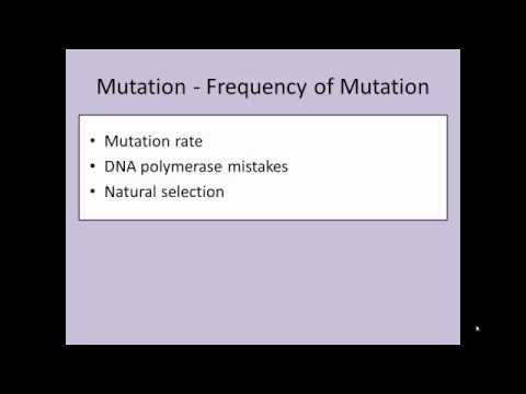 B221: Chapter 8 Part 2