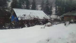 preview picture of video 'Pahalgam road March 2019'