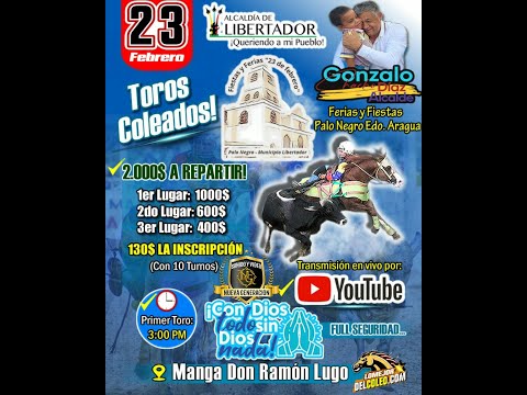 Ferias y Fiestas De Palo Negro Municipio Libertador del Estado Aragua.