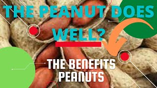 THE SECRET OF THE BENEFITS OF PEANUTS | NATURE OF THE AMAZON