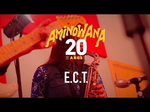 Aminowana 20 años :: E.C.T.
