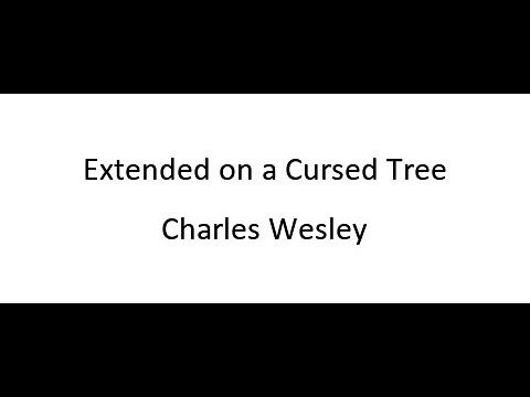 Thumbnail for Extended On A Cursed Tree video