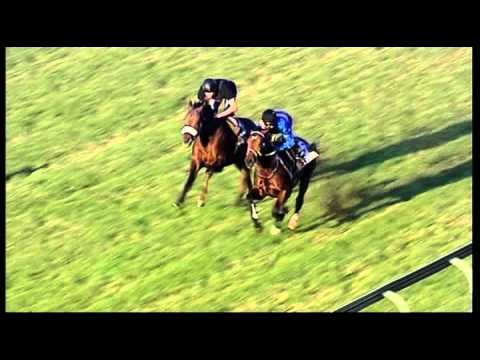 Greyville 26062014 July Gallop : Wylie Hall