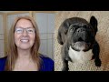 STOP BARKING Dog Without E Collars Angel Dog Has Unique Technique Offering Best Results